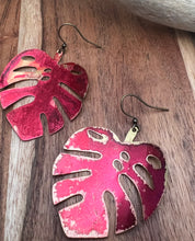 Load image into Gallery viewer, Raspberry Monsteras
